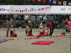 運動会の写真