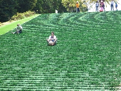 春の遠足の写真