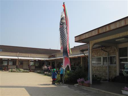 こいのぼりの写真２